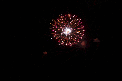 fireworkanamated_2singlewor
