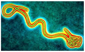 Ebola_2