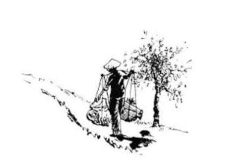 Theo Bước Chân Tù